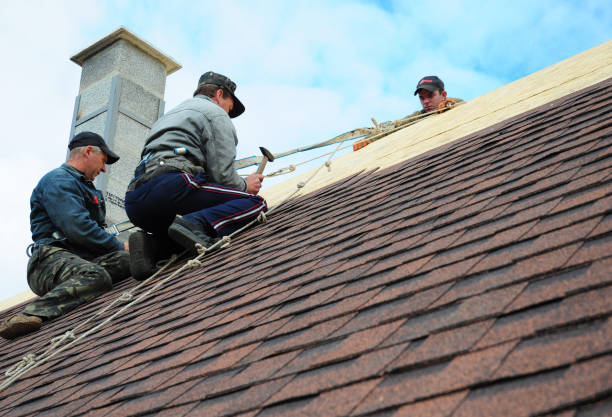 Quick and Trustworthy Emergency Roof Repair Services in Trinity, AL