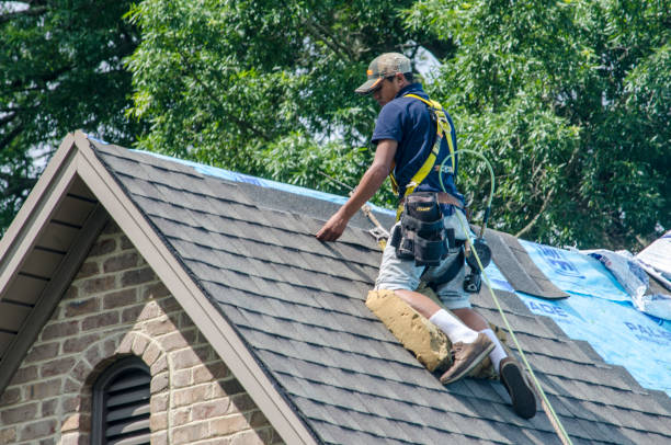 Roof Gutter Cleaning in Trinity, AL